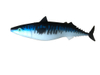 Cebos de pesca azules Caballa Señuelo artificial de hundimiento grande Señuelo bajo de pez grande y suave